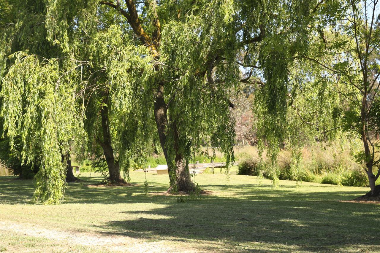 Little Lake Cottage Nyora Zimmer foto